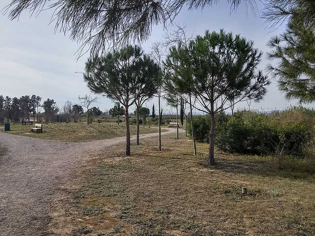 Zona d’oci i senda del riu Magre que es vol remodelar i millorar