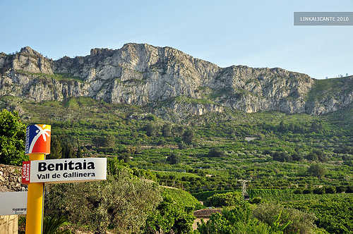 Fotos: linkalicante.com