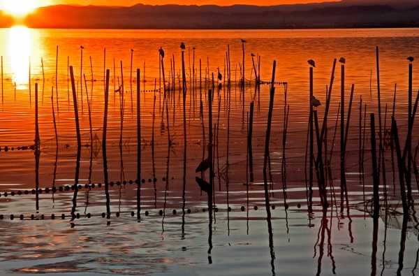 Posta de sol a l'Albufera