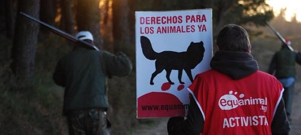 Acció contra la caça a Galícia, 2012