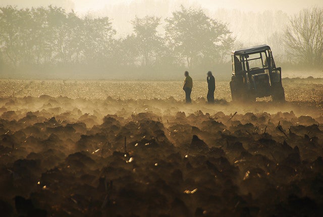 Gettyimages - llaurador
