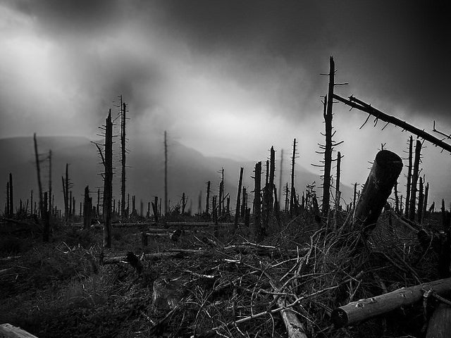 GettyImages - incendi