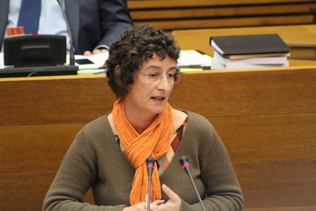Diputada i portaveu de Compromís a la Comissió de Medi Ambient, Aigua i Ordenació del Territori en les Corts, Graciela Ferrer