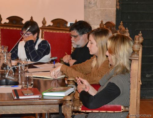 Ple ordinari on es va aprovar fer la sol·licitud