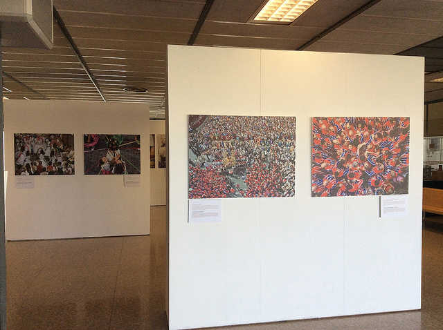 Expo biblioteca catalunya.