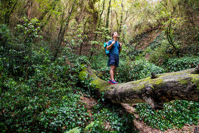 GettyImages - Excursió