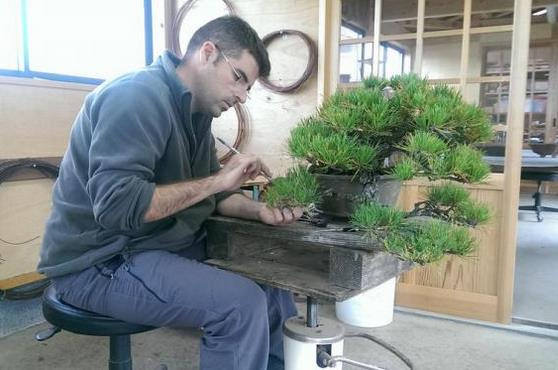 Franco Franco Pedrós