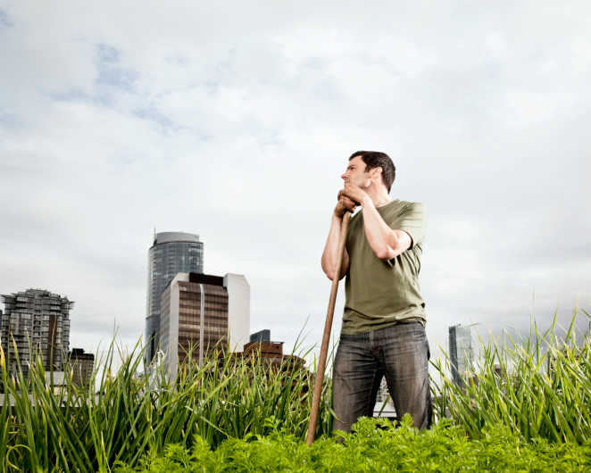 GettyImages - hort urba