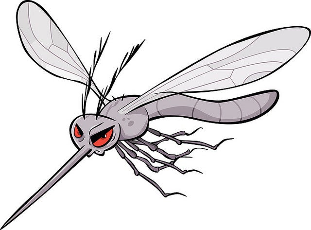 GettyImages - Mosquit tigre