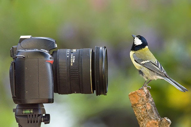 GettyImatges - Fotografia