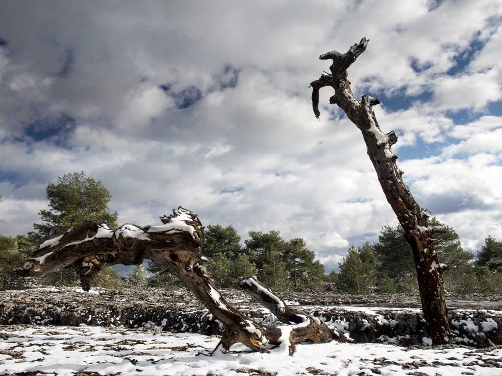 GettyImages - clima