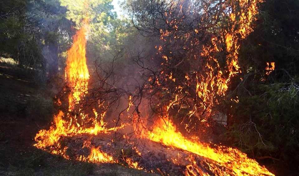 Imatge d'un dels sis incendis intencionats declarats en les darreres setmanes a Guardamar