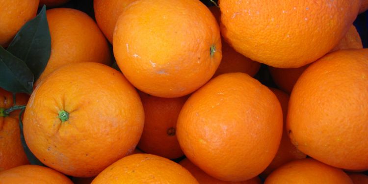 AICA intensificarà els controls al País Valencià amb campanyes de vigilància a les empreses del sector hortofrutícola i als cellers.