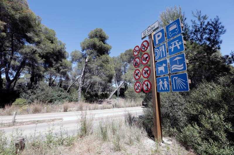 Els fets s'han produït a prop de l'institut del Saler.