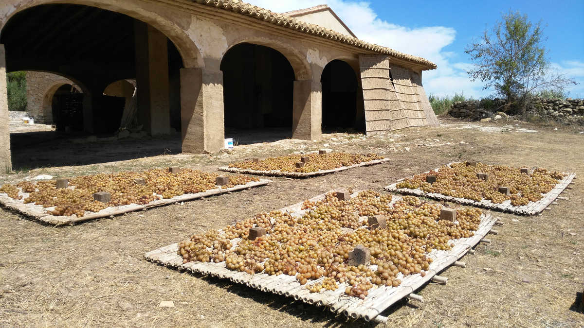 La Marina Alta, però també la Safor i la Vall d'Albaida, acullen des del segle XIX aquestes instal·lacions que tenien la funció de protegir les panses quan plou o fa humitat.