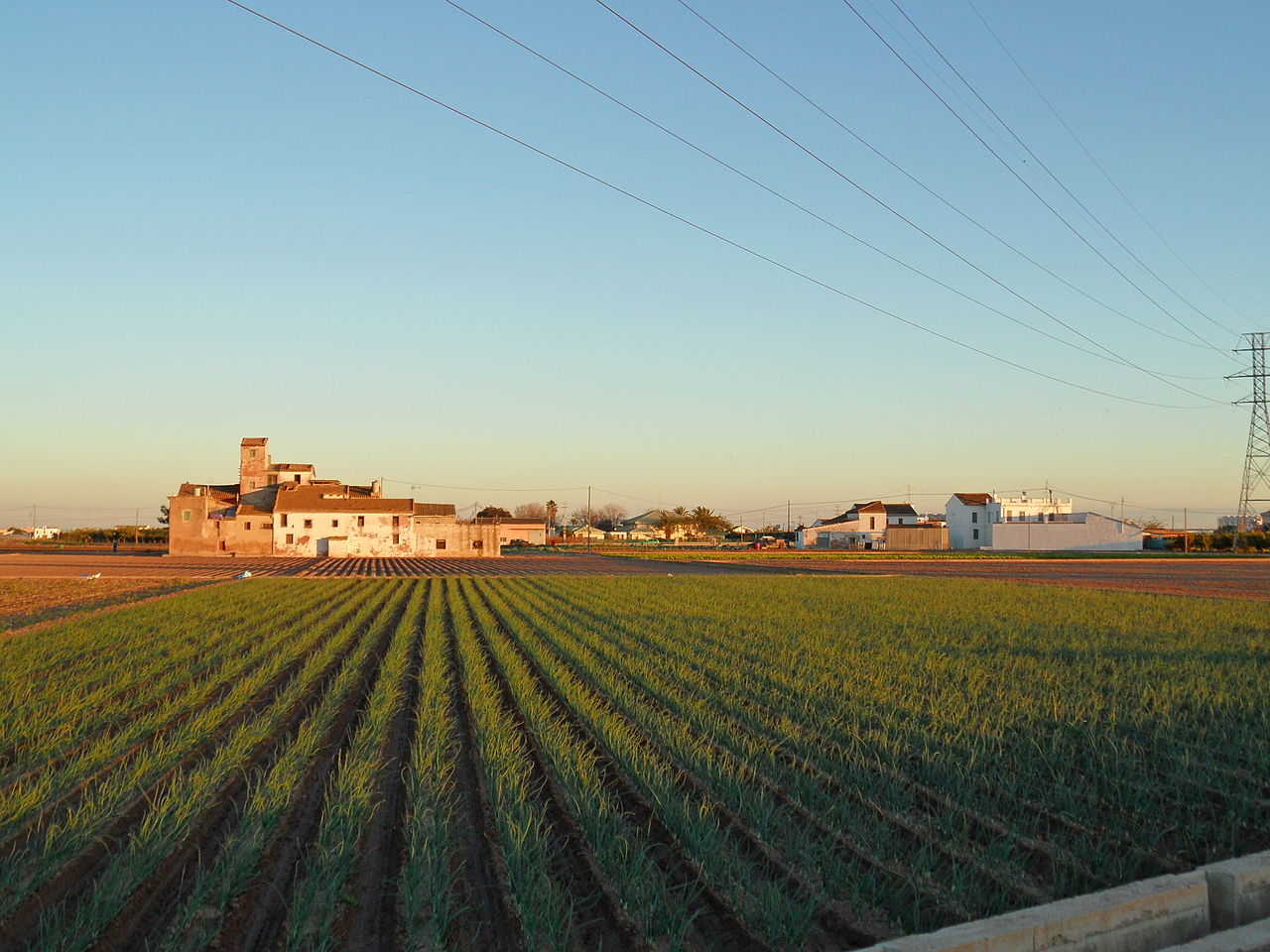 En gener un manifest de Per l'Horta recordava que la nova normativa era fruit de la llavor que es va sembrar amb la seua ILP i per això es reclamava l'aprovació de la llei de manera immediata.