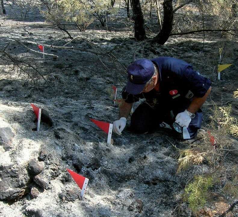 Un agent mediambiental en unaimatge d'arxiu
