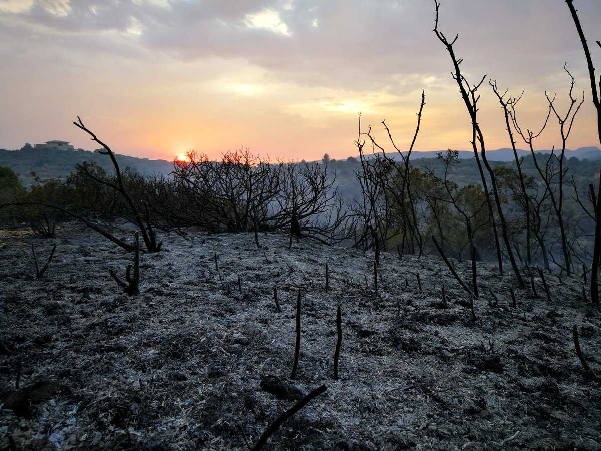 Imatge d'aquest divendres de l'incendi de Llutxent.