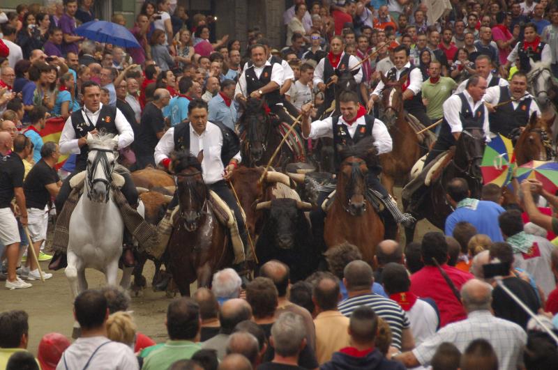 El ple de l'Ajuntament de Sogorb va aprovar per unanimitat una moció el passat mes de juny on ja es demanava a la CVMC la retransmissió en directe de les entrades de bous i cavalls.