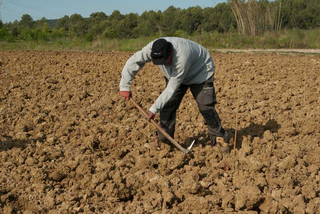 El minifundisme, la dispersió parcel·lària i l'envelliment de la població agrària són les principals debilitats dels camps.