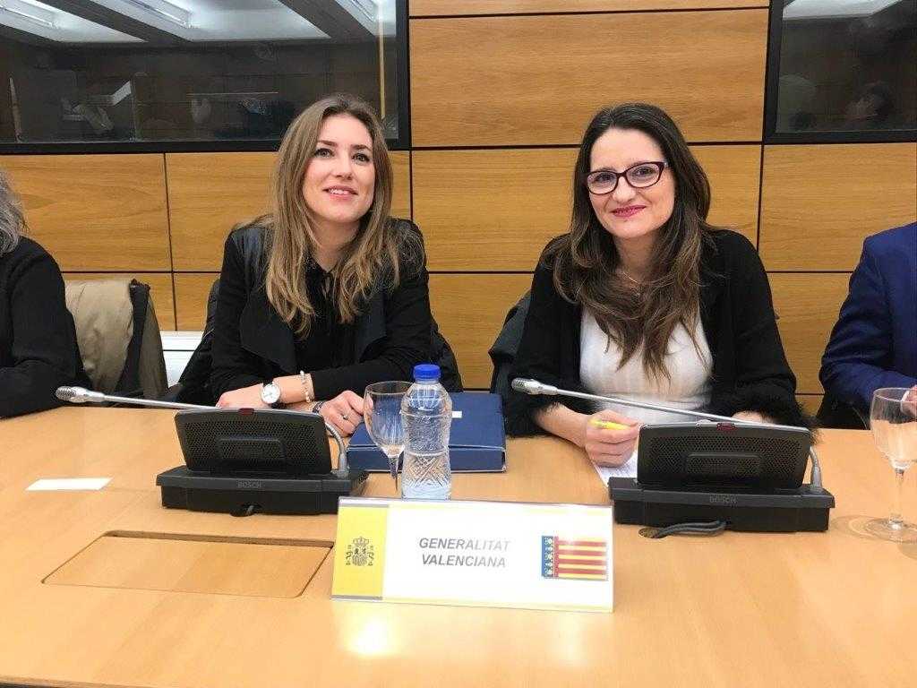 L'objectiu del ConselL és construir 'un autèntic sistema integral de prevenció, atenció i seguiment de les víctimes de violència de gènere'.