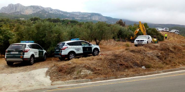 La ministra Tejerina va defensar aquest dilluns a Alacant la tala dels exemplars d'ametlers afectats per 'Xylella fastidiosa'.