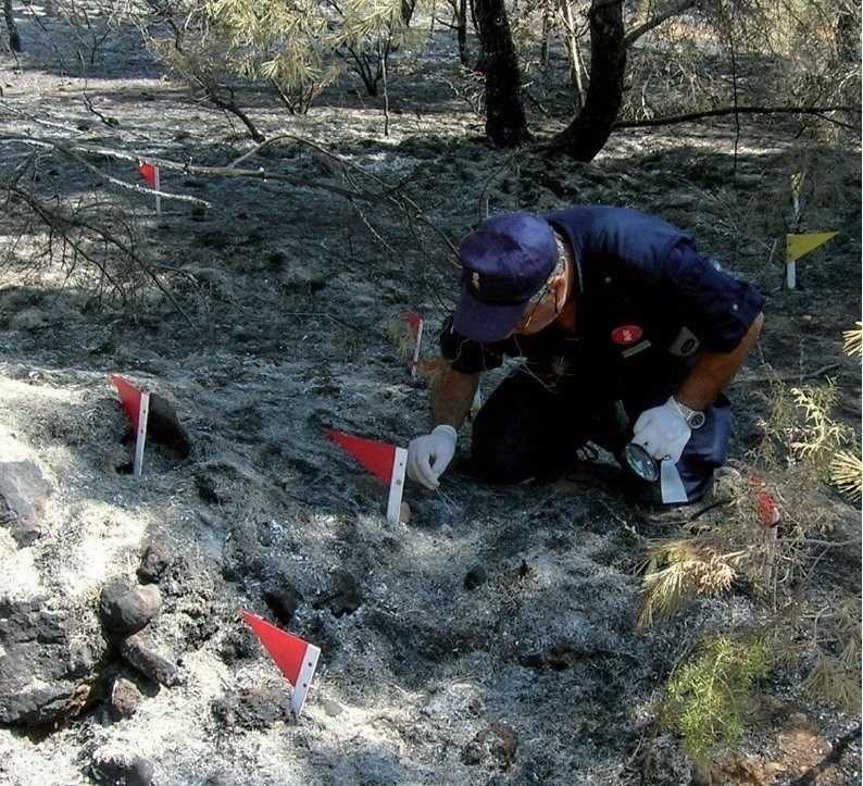 Al llarg d'enguany, la Generalitat ha rebut 250 denúncies presentades pels agents mediambientals.