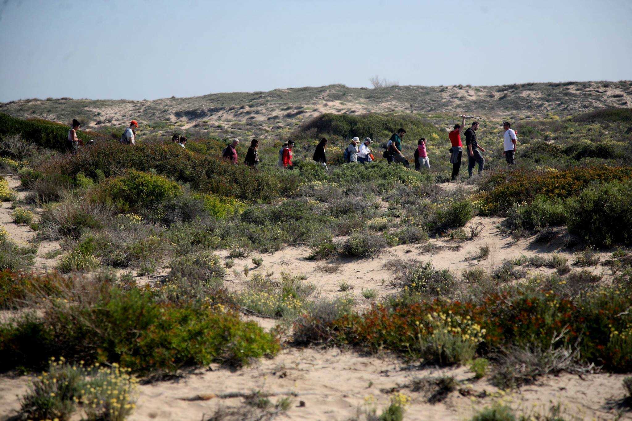 L'Ajuntament de València va reprendre ahir les seues visites guiades, amb sis rutes diferents que es podran gaudir durant tot l'any.