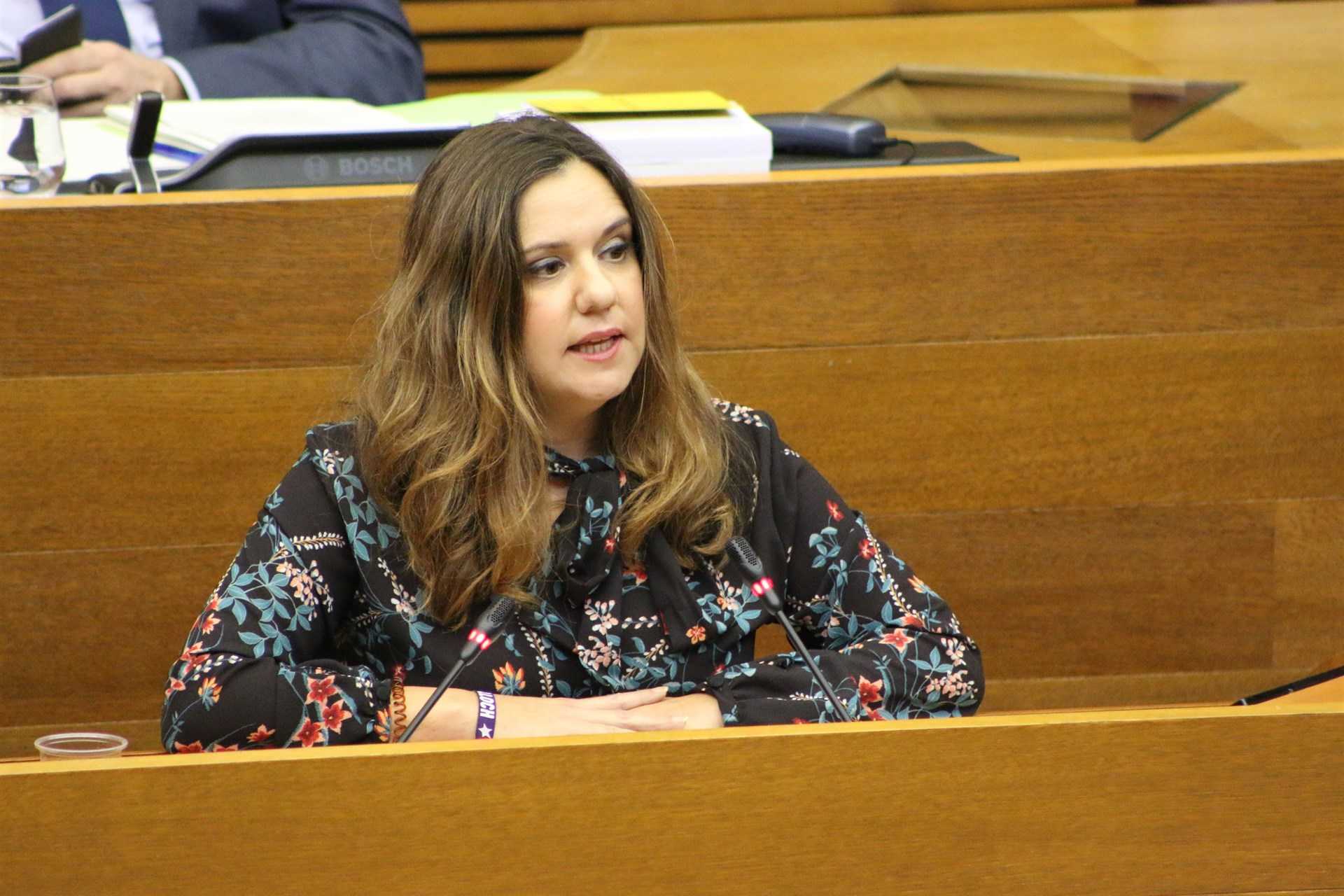 La portaveu adjunta de Compromís a les Corts, ha expressat que " és en qüestions com aquestes on queden clares les prioritats d'un govern".