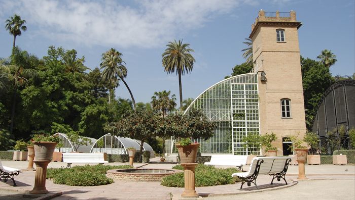 El Jardí Botànic aspira a integrar el Jardí de les Hespèrides.