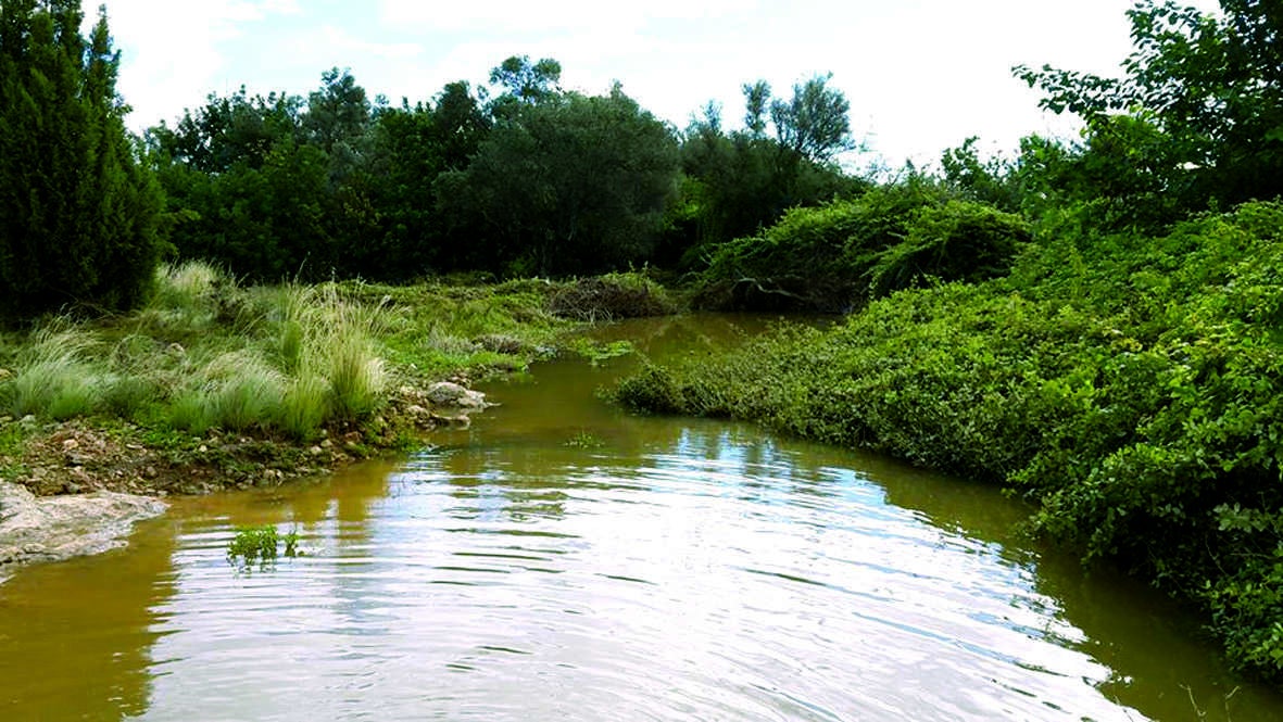 Les Moles és un paratge natural amb una gran riquesa medi ambiental.