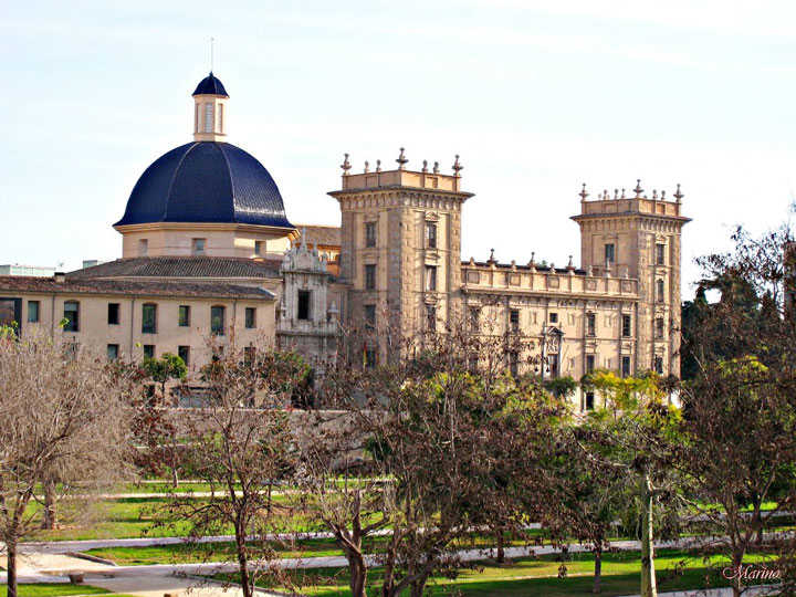 Reial Acadèmia de Belles Arts de Sant Carles