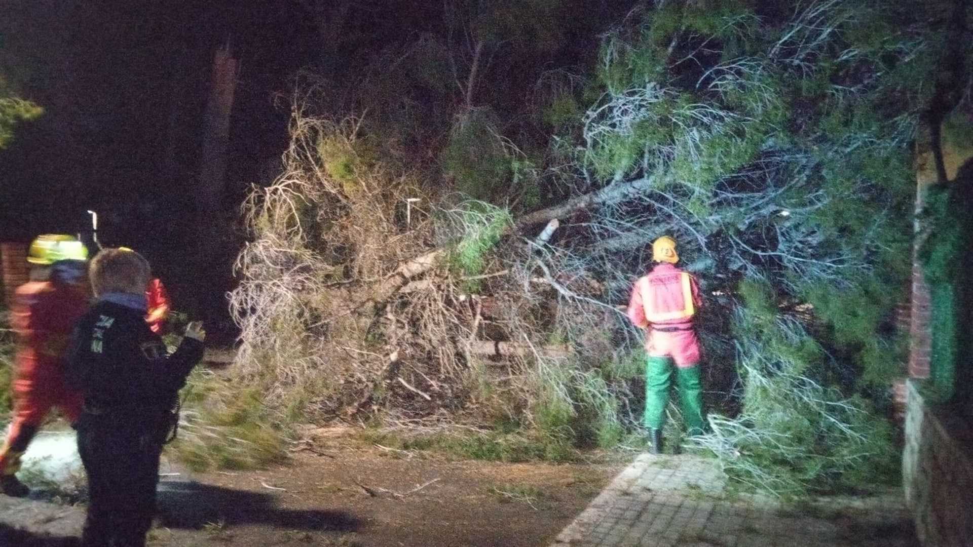 El CPBV ha hagut d'intervindre en la retirada d'arbres, tendals i cartells i també en el sanejament de façanes