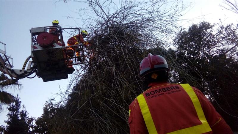 Intervenció dels bombers el passat 24 de març amb motiu de les fortes ratxes de vent.