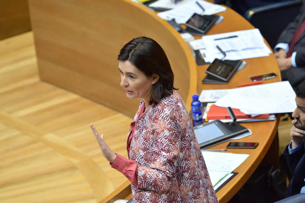 El nom de Carmen Montón va sonar per al Ministeri de Sanitat des del mateix moment que Pedro Sánchez va resultar investit divendres passat al Congrés.