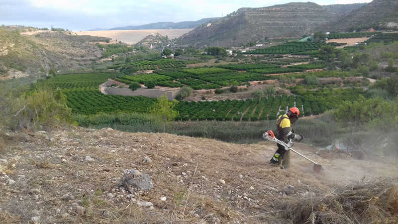 Els diumenges i festius i els dies en què s'haja establert alerta 3 per risc extrem d'incendis forestals, les brigades de Divalterra es dedicaran exclusivament a tasques de vigilància.