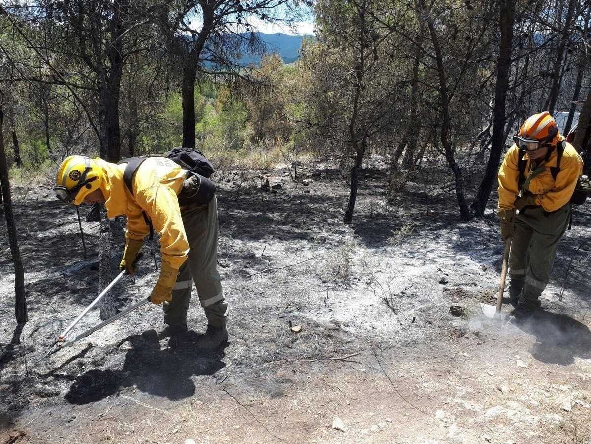 Algunes de les intervencions de les brigades de Divalterra estan relacionades amb incendis forestals, comprovacions de fum o retirada d'arbres caiguts.