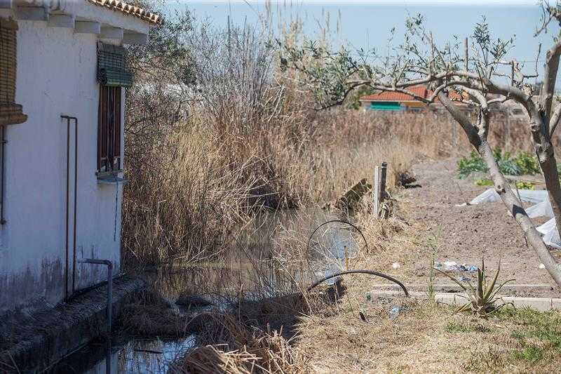La causa principal pel presumpte homicidi de l'home de 70 anys mort a sa casa al Grau de Castelló serà assumida pel Jutjat d'Instrucció número 4 de la ciutat.
