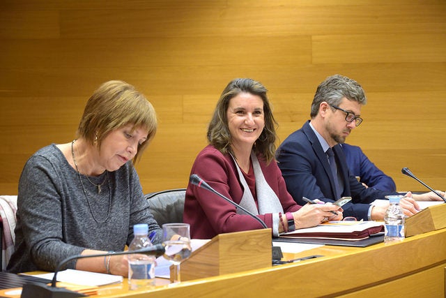 La directora d'À Punt ha ratificat a les Corts que els la nova televisió pública obrirà durant la primavera de 2018.