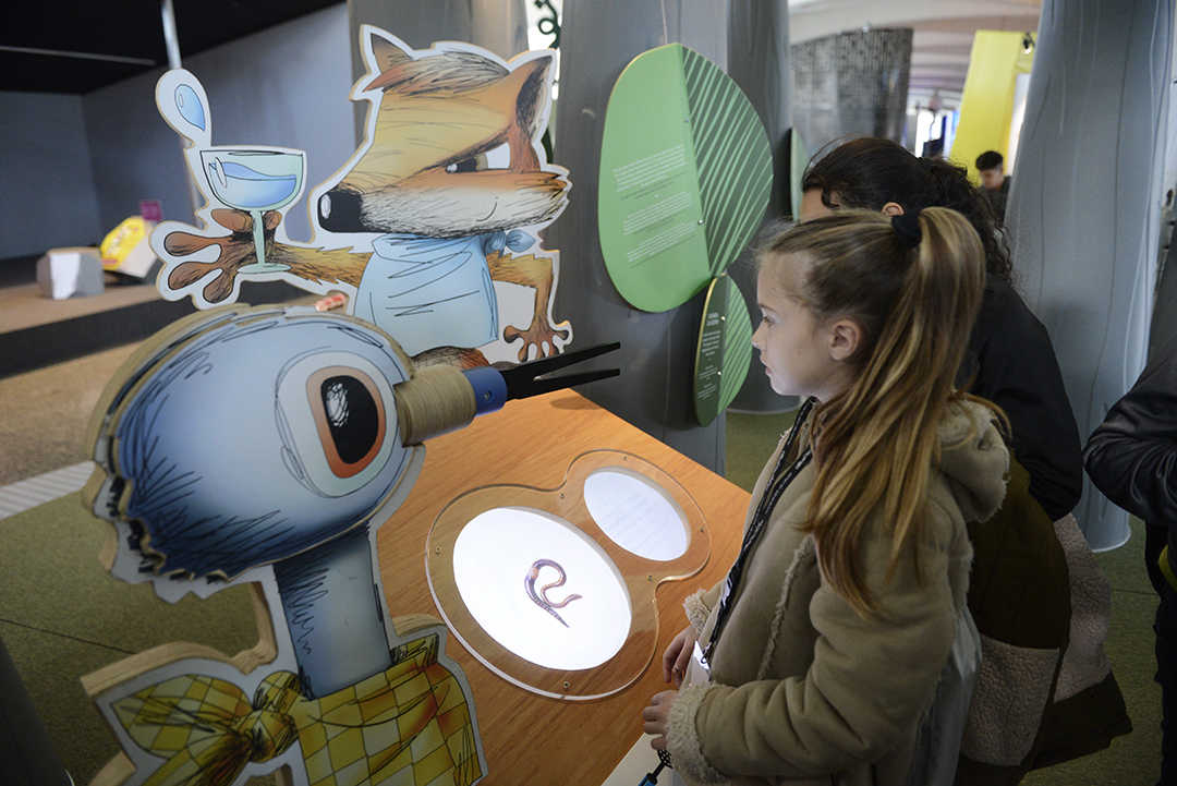 L'horari del Museu de les Ciències el dia de la Nit de Nadal serà de 10 a 14 hores.