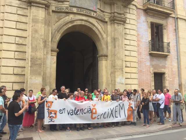 Representats de les entitats que han donat suport a la concentració convocada per Escola Valenciana a les portes del TSJ.