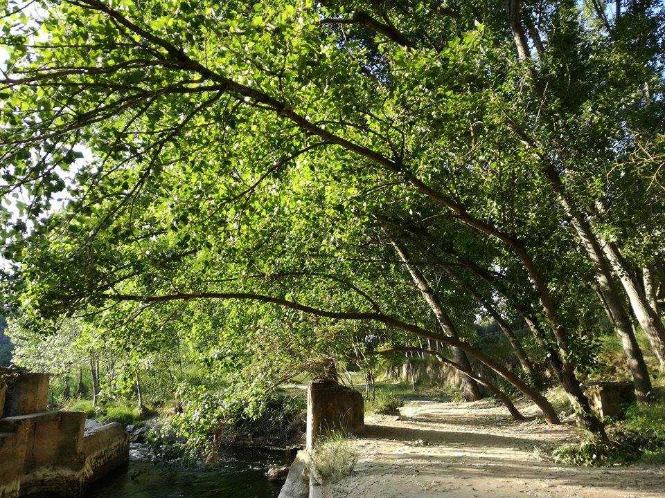 Estret de les aigües. Bellús