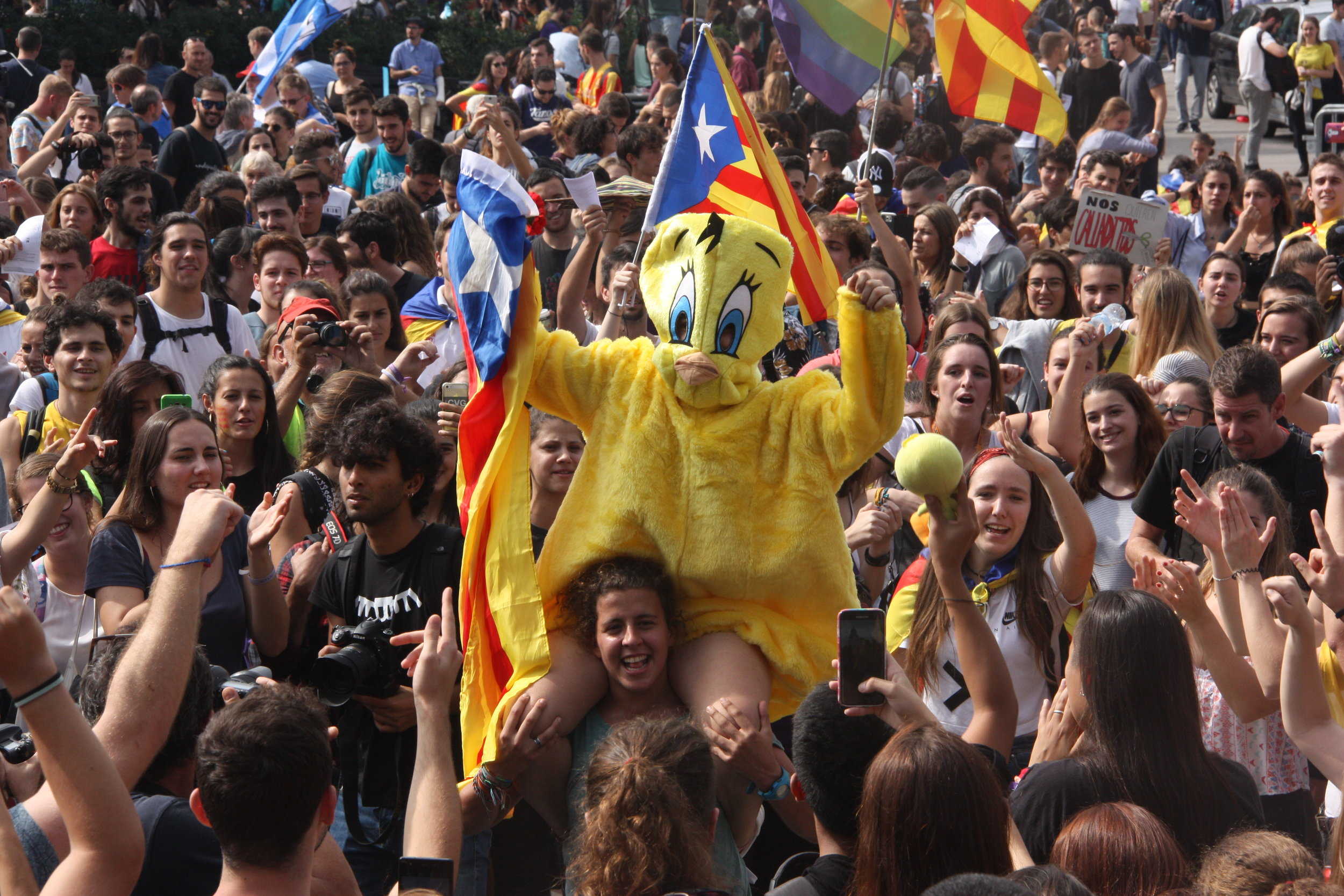 Un manifestant disfressat de 'Piolín' durant la manifestació estudiantil per la defensa del resultat del referèndum
