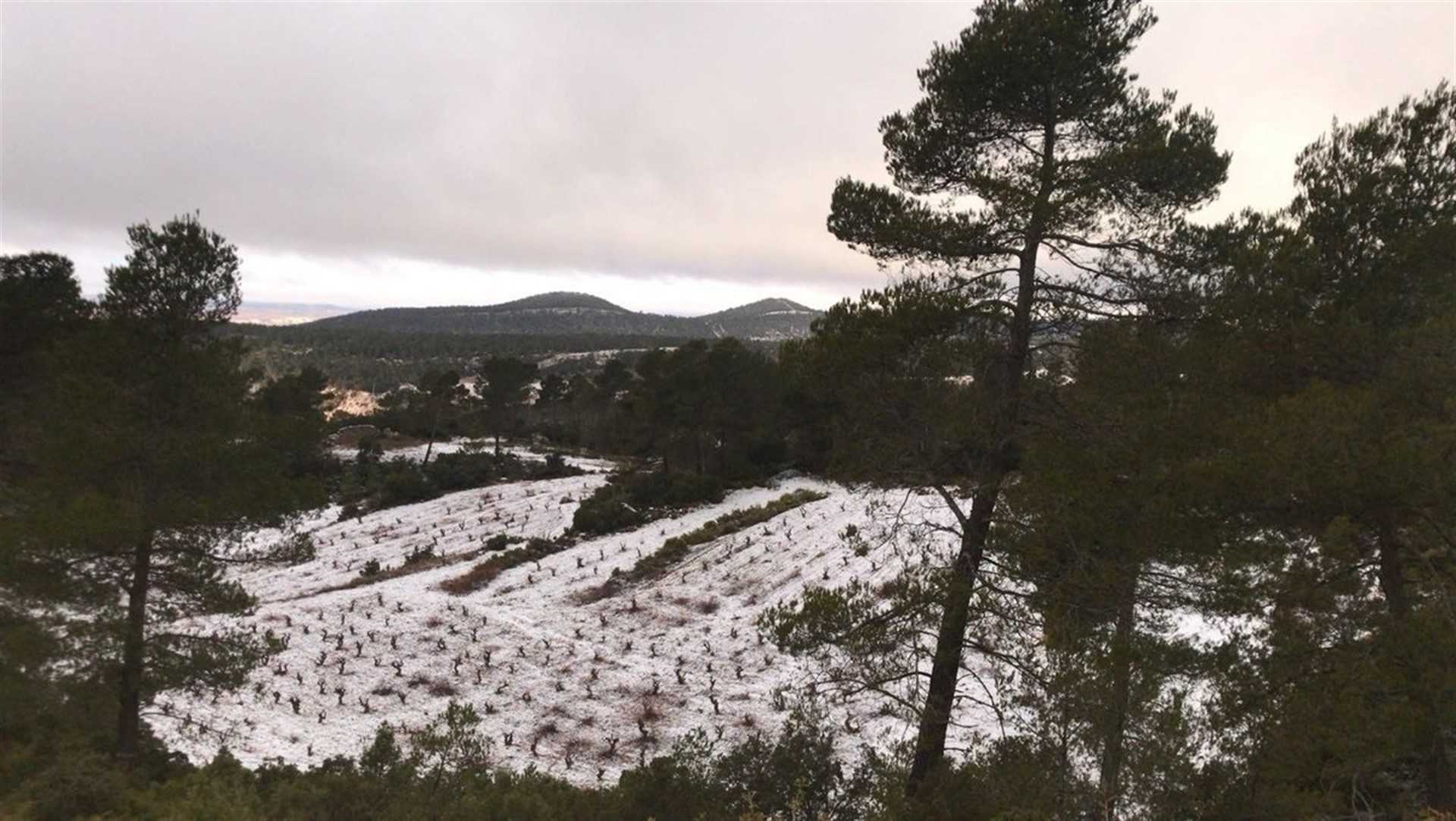 La neu ha arribat als voltants de la localitat d'Utiel.