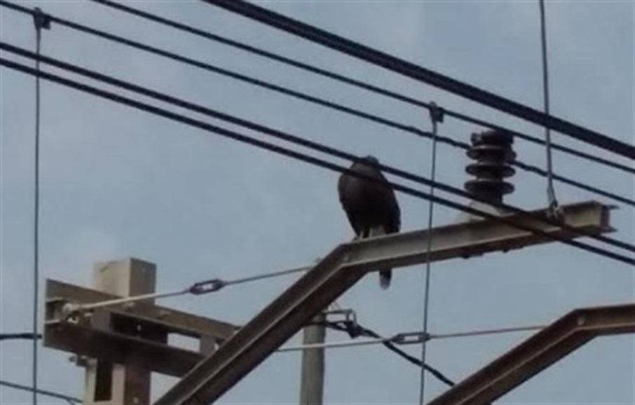 Ha calgut tallar l'electricitat en aquest tram durant aproximadament un quart d'hora, entre les 13.15 i les 13.30 hores.