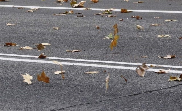 Les ratxes de vent han arribat als 90 quilòmetres per hora en algunes localitats del territori valencià.