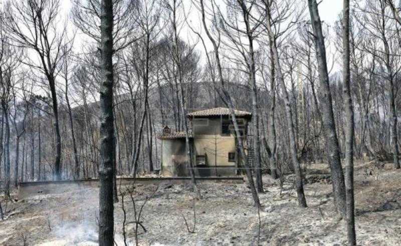 Gandia ofereix 34 habitatges als afectats per l'incendi.