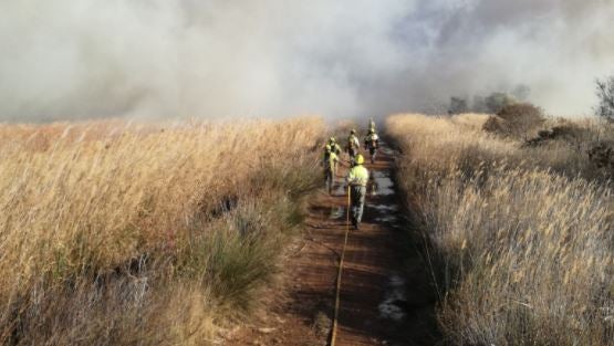 El 112 ha decretat l'avís taronja (risc alt) per perill de focs forestals a les comarques del nord.