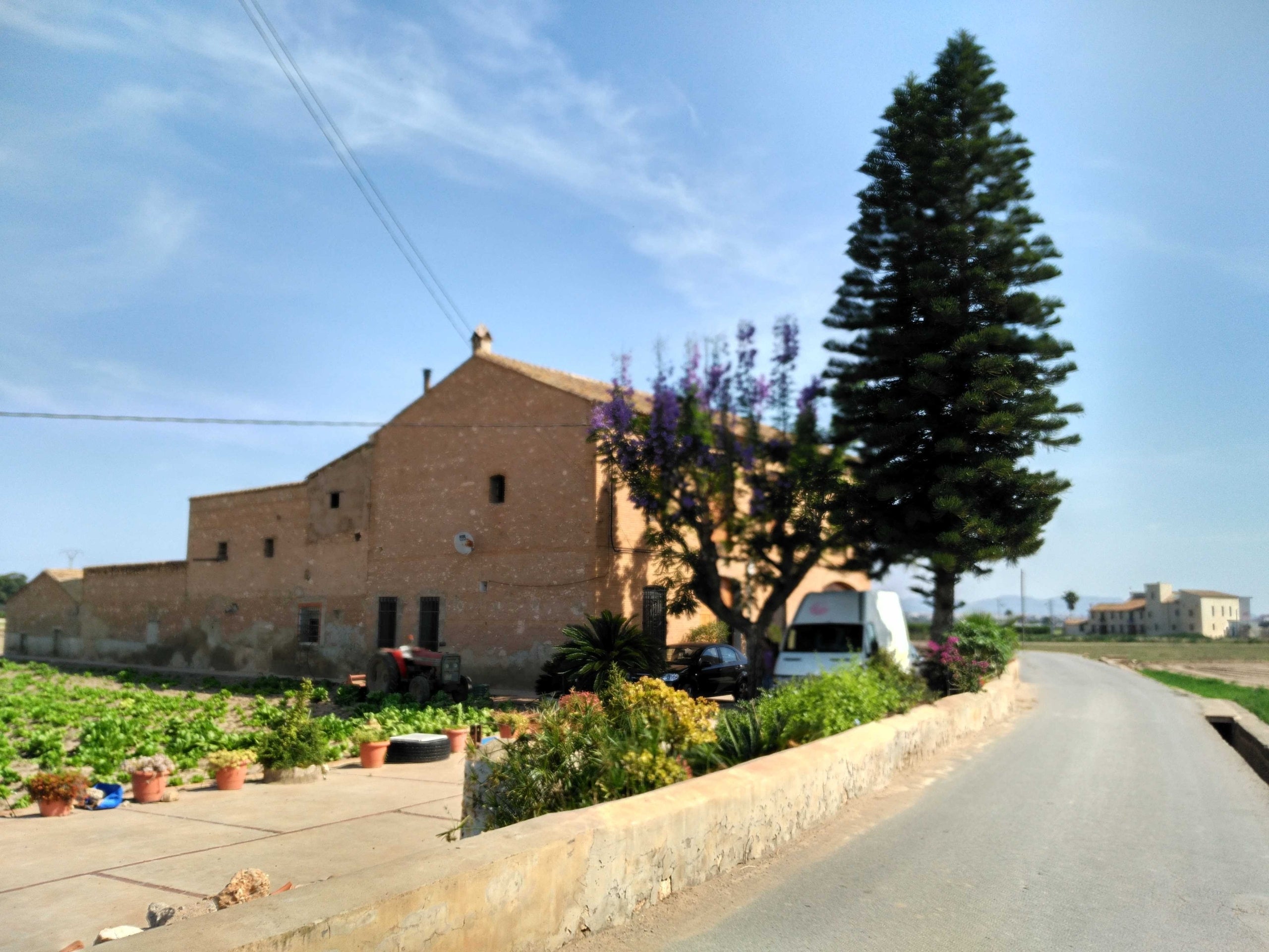 'L'horta a través d'Estellés' vol apropar als participants el fort vincle que tenia el poeta burjassoter amb aquest entorn