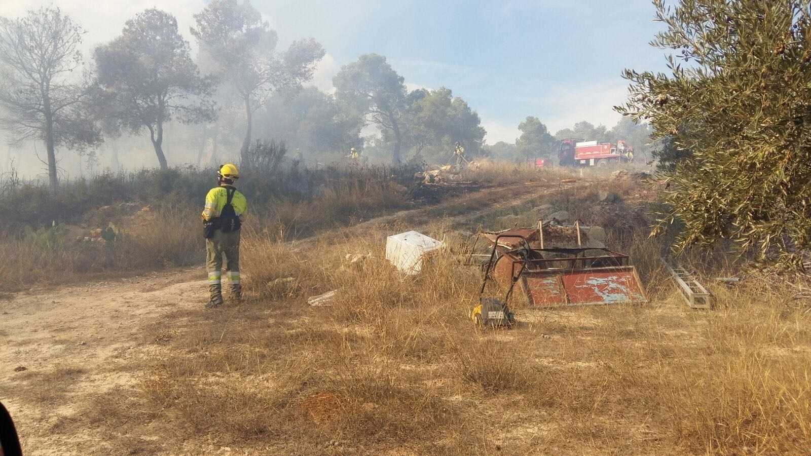 Diferents efectius d’Emergències de la Generalitat Valenciana i del Consorci Provincials de Bomber de València han participat en l’extinció d’aquest incendi